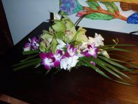 Jamaica Wedding 2010 085.JPG