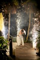 www.alealovely.com Photography
http://www.leannemarieweddings.com Wedding planner