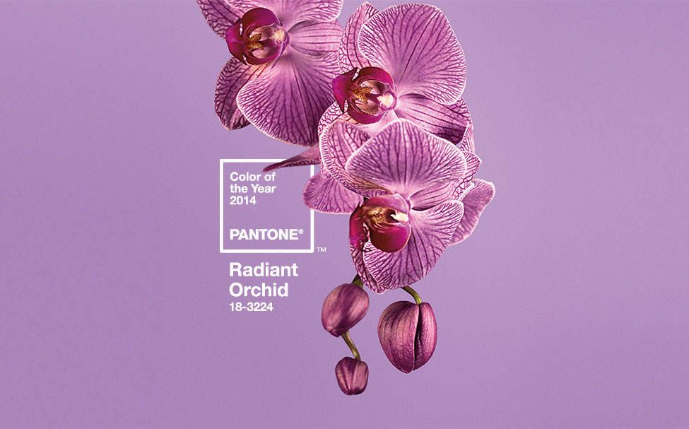 Pantone 2014 Color of the Year: Radiant Orchid