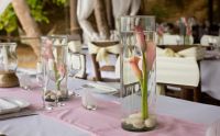 Centerpieces in pink