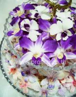 They are preserved dried orchid from fresh cut natural flower. They have longer storage life than fresh flower for years. You can keep your precious memorable moment for ages. www.prosco.co.th