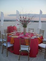 Coral Linen, Pink runner and orange napkins also tiffany chairs  in golden color ...the wind was tricky, also some flags in the back