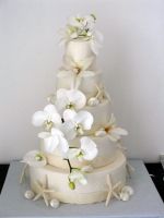 white seashell cake.jpg